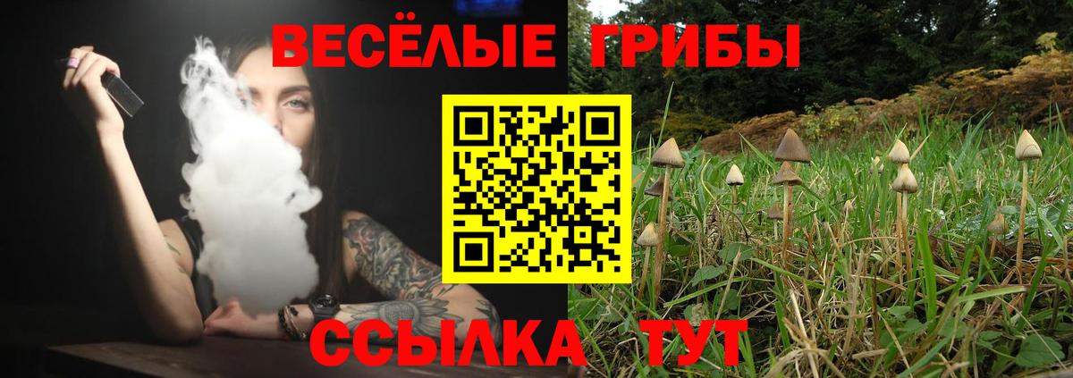 Псилоцибиновые грибы ЛСД  Псилоцибиновые грибы Psilocybine cubensis  Вход с VPN  Воронеж 